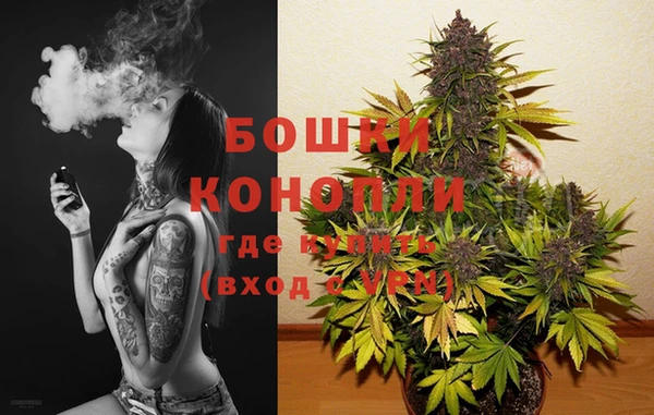 СК Зеленодольск
